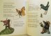 画像5: Karel Franta:絵 Jiri Havel:著 / La Fete chez lez Animaux