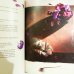 画像2: フレデリック・クレマン Frederic Clement:絵 Vincent Tessier:著 / Lubie - Le peintre des fleurs et son grain de folie (2)