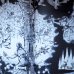 画像7: Adolf Zabransky:絵 Bozena Nemcove, Jaroslav Seifert:著 / Mahulena, krasna panna ＜チェコ絵本＞ (7)