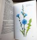 画像4: カレル・スヴォリンスキー Karel Svolinsky, Kvetoslav Hisek :絵 L. Thurzova:著 / Maly atlas liecivych rastlin（薬用植物図鑑）　＜チェコ絵本＞