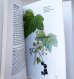 画像5: カレル・スヴォリンスキー Karel Svolinsky, Kvetoslav Hisek :絵 L. Thurzova:著 / Maly atlas liecivych rastlin（薬用植物図鑑）　＜チェコ絵本＞
