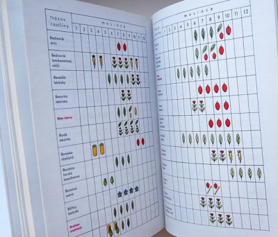 画像6: カレル・スヴォリンスキー Karel Svolinsky, Kvetoslav Hisek :絵 L. Thurzova:著 / Maly atlas liecivych rastlin（薬用植物図鑑）1983　＜チェコ絵本＞