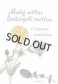 カレル・スヴォリンスキー Karel Svolinsky, Kvetoslav Hisek :絵 L. Thurzova:著 / Maly atlas liecivych rastlin（薬用植物図鑑）　＜チェコ絵本＞