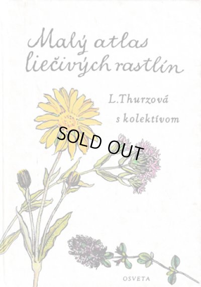 画像1: カレル・スヴォリンスキー Karel Svolinsky, Kvetoslav Hisek :絵 L. Thurzova:著 / Maly atlas liecivych rastlin（薬用植物図鑑）　＜チェコ絵本＞