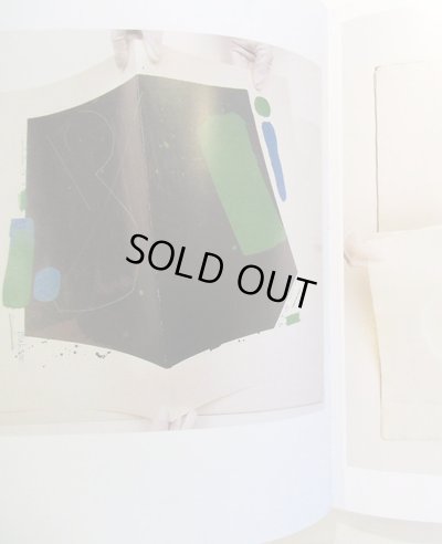 画像5: クヴィエタ・パツォウスカー Kveta Pacovska:作品 Eva Linhart:著 / Maximum Contrast (クヴィエタ・パツォウスカー作品集)