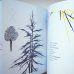 画像5: ブルーノ・ムナーリ Munari per Rodari / Winding signs, skewed marks, stains, colours and scribbles (5)