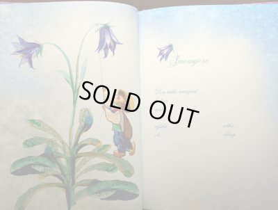 画像4: イジー・トゥルンカ Jiri Trnka / NARODILA SE BERUSKA ＜チェコ絵本＞