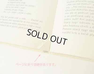 画像10: Vladimir Fuka:絵 Sofia Prokofjevova:著 / neuveritelne prihody plysoveho tygra ＜チェコ絵本＞