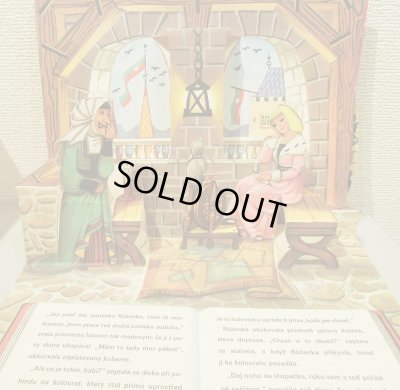 画像3: Vojtech Kubasta / O SIPKOVE RUZENCE ＜チェコ絵本＞