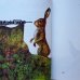 画像3: Karel Franta:絵 Vaclav Fischer, Ilja Hurnik:著 / Od houslicek po buben ＜チェコ絵本＞ (3)