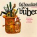 画像1: Karel Franta:絵 Vaclav Fischer, Ilja Hurnik:著 / Od houslicek po buben ＜チェコ絵本＞ (1)