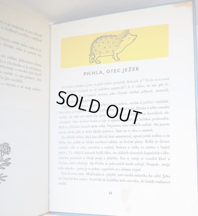 経年によりシミがあります。