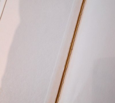 図書館落ちにより見返しページが切り取られています。