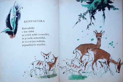 画像3: Adolf Zabransky:絵 Jan Carek:著 / RAJ DOMOVA ＜チェコ絵本＞