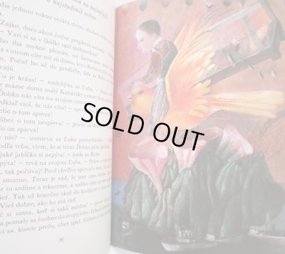 画像5: ドゥシャン・カーライ Dusan Kallay:絵 Jana Sramkova:著 / Robko a Dobko 