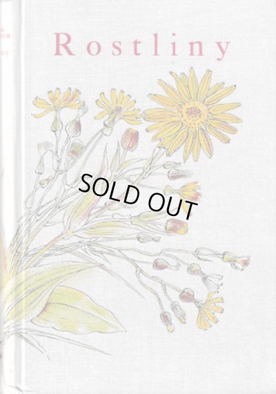 画像1: カレル・スヴォリンスキーKarel Svolinsky:絵 F. A. Novak:著　/  Rostliny （植物）1936年版　＜チェコ絵本＞