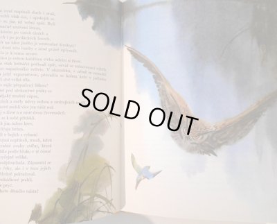 画像3: ミルコ・ハナーク Mirko Hanak:絵  Karel Novy:著 / Rybarici na Modre zatoce ＜チェコ絵本＞