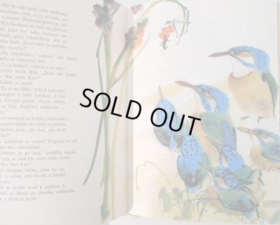 画像5: ミルコ・ハナーク Mirko Hanak:絵  Karel Novy:著 / Rybarici na Modre zatoce ＜チェコ絵本＞