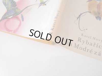 ダストカバー角の傷みがあります。