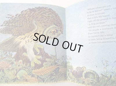 画像4: ロジャンコフスキー Feodor Rojankovsky:絵 アン・ランド Ann Rand:著 / So Small