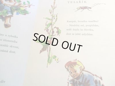 画像7: Adolf Zabransky:絵 Jan Carek:著 / Srdce poteseni ＜チェコ絵本＞