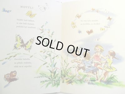 画像3: Adolf Zabransky:絵 Jan Carek:著 / Srdce poteseni ＜チェコ絵本＞