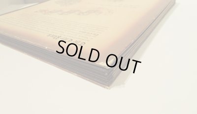 画像7: メッゲンドルファー Lothar Meggendorfer / The City Park