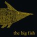 画像1: 葵・フーバー・河野 Aoi Huber-Kono / the big fish (1)