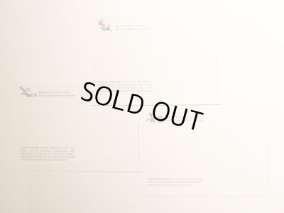 画像8: ミハイル・ブイチコフ:絵 ： ユーリイ・オレーシャ:著 / 三人のふとっちょ 