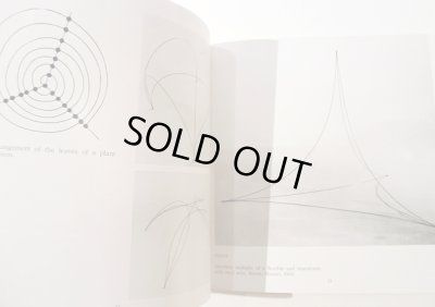 画像2: ブルーノ・ムナーリ BRUNO MUNARI / THE TRIANGLE