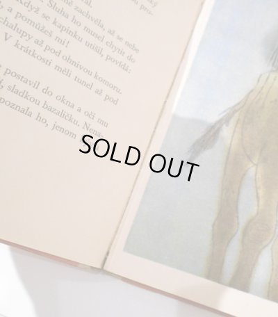 経年による綴じの緩みがあります。