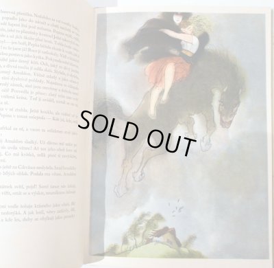 画像3: イジー・トゥルンカ Jiri Trnka:絵 Josef St. Kubin:著 / V carodejnem kole <チェコ絵本>