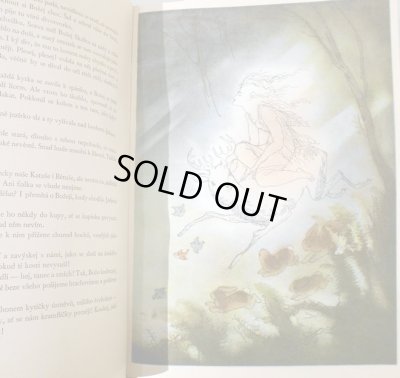 画像5: イジー・トゥルンカ Jiri Trnka:絵 Josef St. Kubin:著 / V carodejnem kole <チェコ絵本>