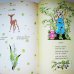 画像5: Adolf Zabransky:絵 Jaroslav Seifert, Frantisek Hrubin他:著 / Venecek ＜チェコ絵本＞ (5)