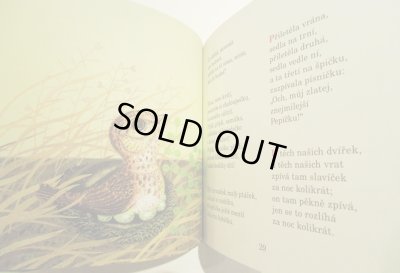 画像4: Jan Kudlacek:絵 Jirina Rakosnikova:著  / Viju, viju venecek ＜チェコ絵本＞