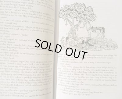 画像4: ルカーチ・カトー K. Lukats Kato:絵 Benedek Elek:著 / Vilagszep Nadszal kisasszony