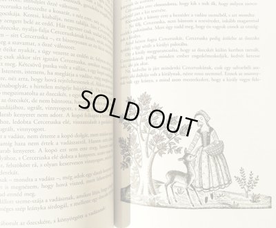 画像5: ルカーチ・カトー K. Lukats Kato:絵 Benedek Elek:著 / Vilagszep Nadszal kisasszony