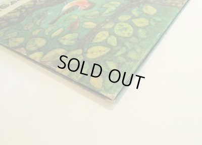 画像7: Eva Hinze / Waldspaziergang