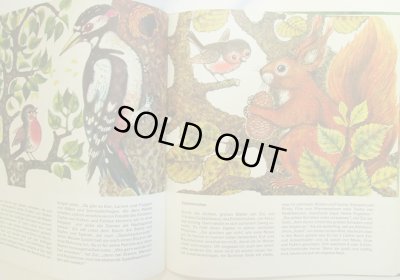 画像3: Eva Hinze / Waldspaziergang