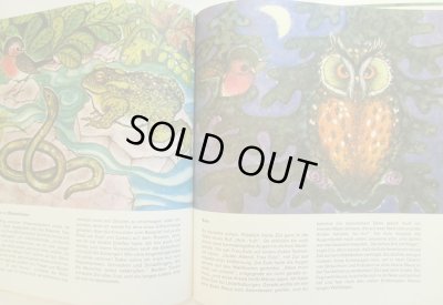 画像4: Eva Hinze / Waldspaziergang