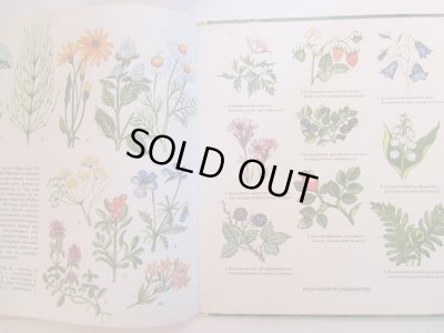 画像6: Eva Hinze / Waldspaziergang