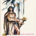 画像1: Adolf Zabransky:絵 Ivan Olbracht:著 / Ze Starych Letopisu ＜チェコ絵本＞ (1)
