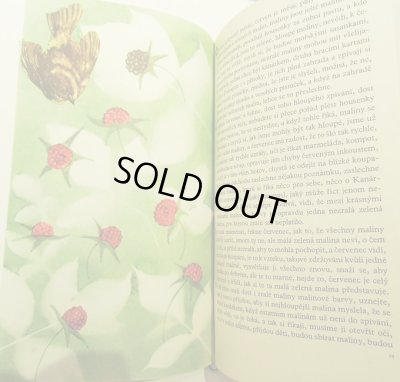 画像3: アドルフ・ホフマイステル Adolf Hoffmeister:絵 Milos Macourek:著 / ZIRAFA NEBO TULIPAN? （キリン？それともチューリップ？）＜チェコ絵本＞