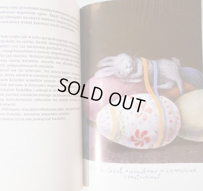 画像5: スタシス・エイドリゲビシウス Stasys Eidrigevicius:絵 Zbigniew Batko:著 / Z powrotem