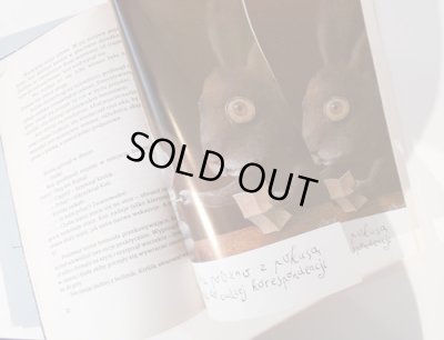 P32からP17〜P32が増丁されてしまっています。