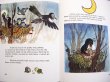 画像4: ズデネック・ミレル Zdenek Miler:絵 Hana Doskocilova:著 / KRTEK a ZELENA HVEZDA ＜チェコ絵本＞ (4)