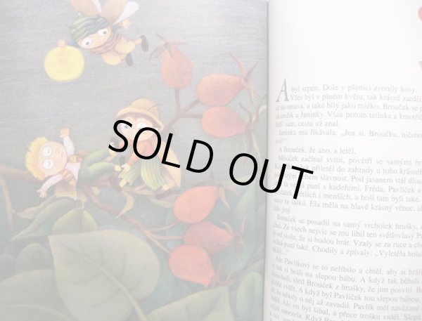 画像4: Vlasta Barankova:絵 Jan Karafiat:著 / BROUCCI <チェコ絵本> (4)