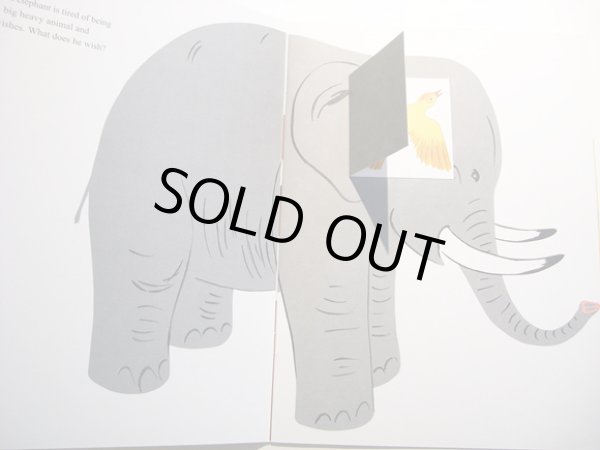 画像2: ブルーノ・ムナーリ Bruno Munari / Never Content (2)