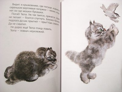 画像1: チャルーシン Евгений Чарушин / Тюпа и Томка 動物絵本 (子猫のチュッパと子犬のトムカ)