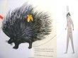 画像3: ブルーノ・ムナーリ Bruno Munari / animals for sale (3)